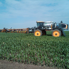 Campania de tratamente