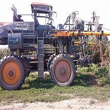 Campania de eliminat tata