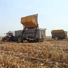 Campania de recoltare